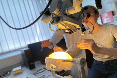 2020-10-15 10.25.17 AM 2020-10-15 10.25.17 AM